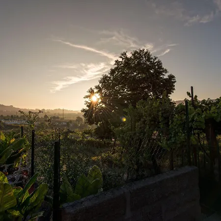 Hostel Stone Farm Felgueiras