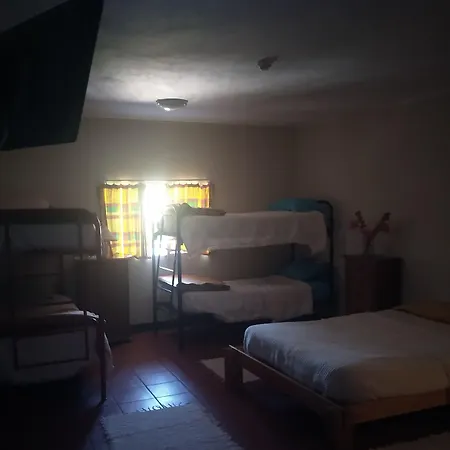 Stone Farm Felgueiras